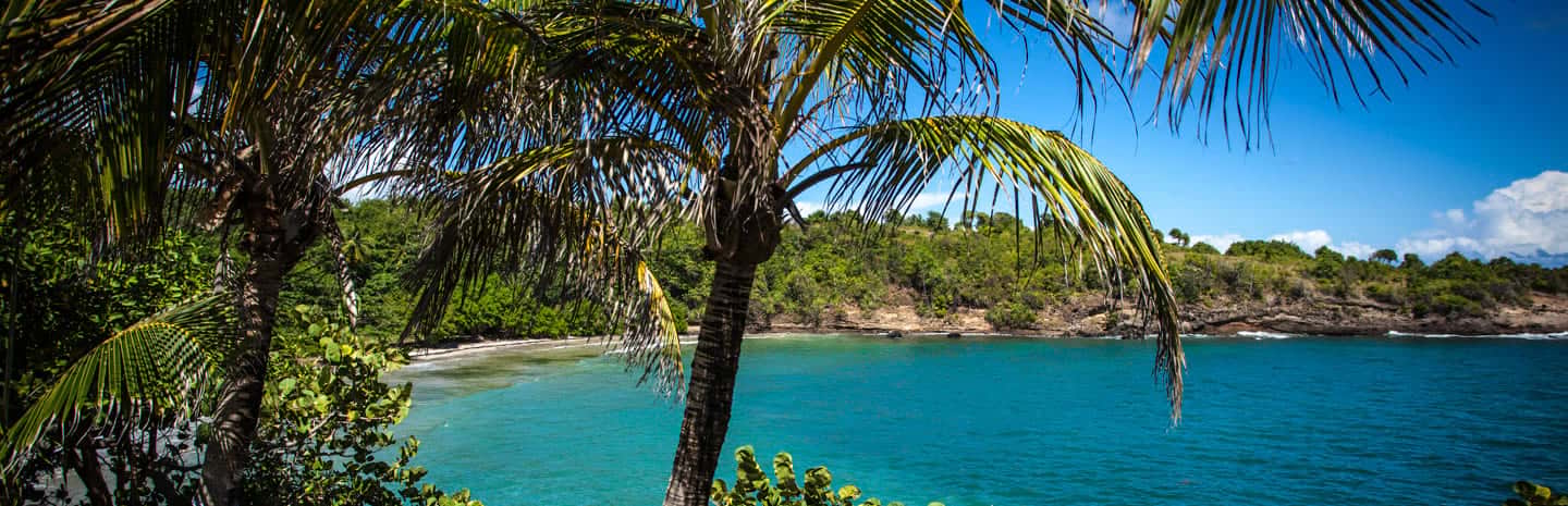 Grenada Beach 