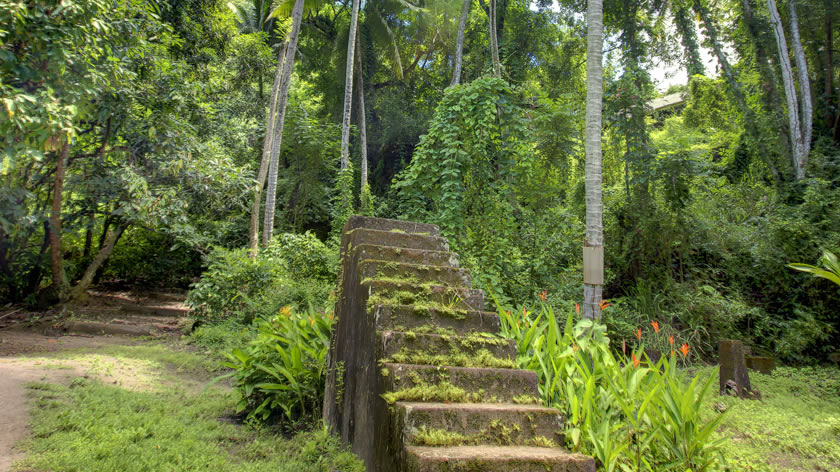 Anse Mamin Jungle 