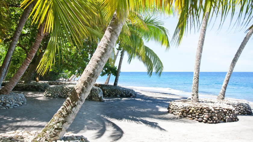 Anse Mamin Palms on the Beach