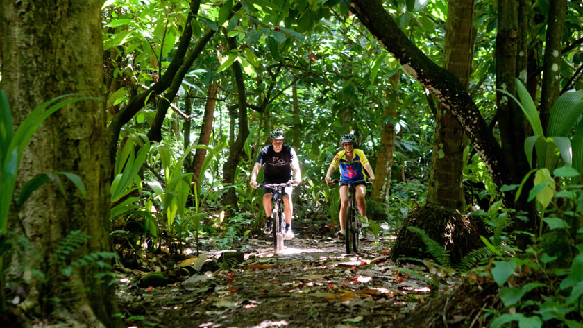 Jungle Biking