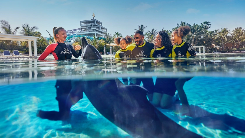 Dolphin Encounter