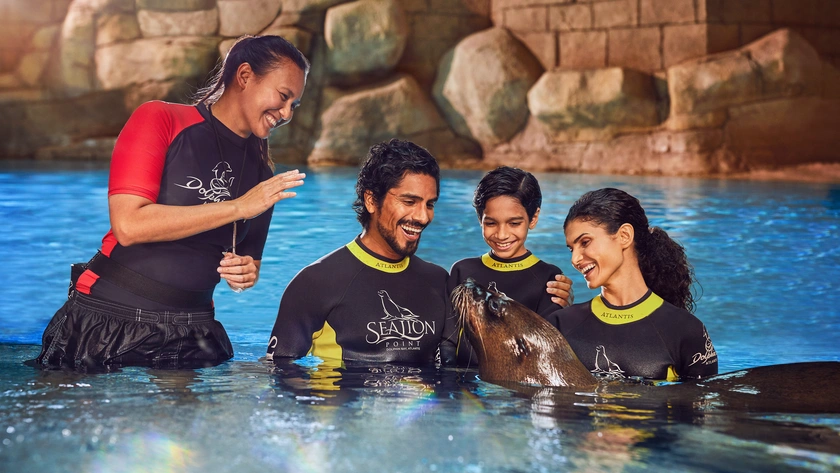 Sea Lion Experience