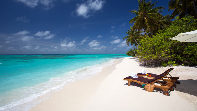 Sun Loungers