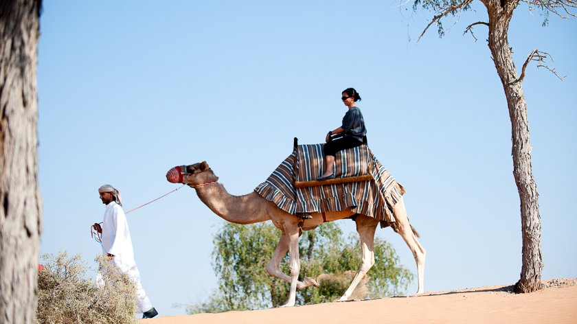 Camel Riding