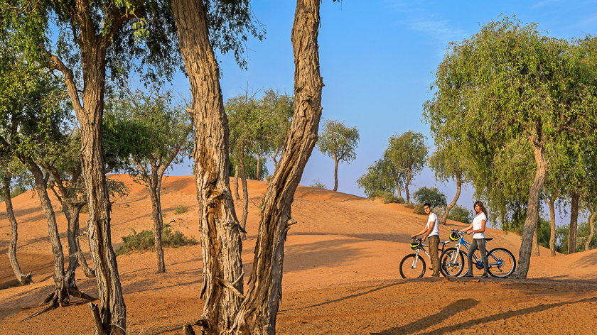 Bicycle Trail