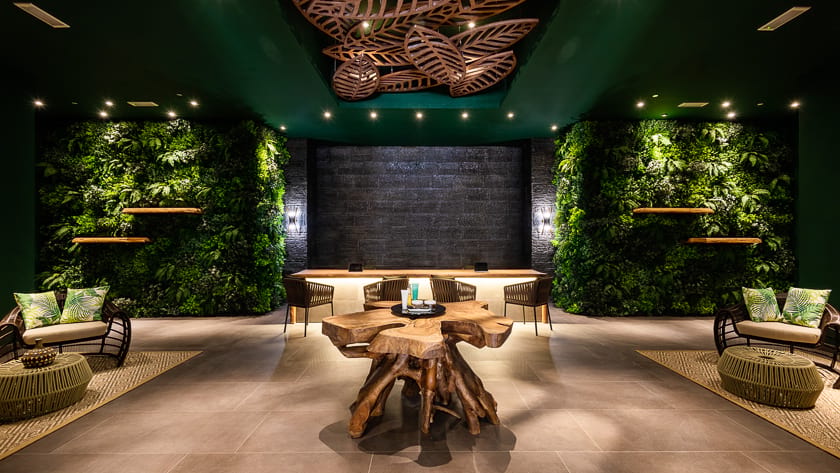 Rainforest Reception
