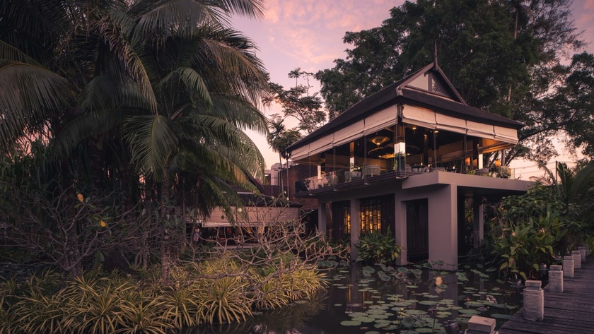 Tree House