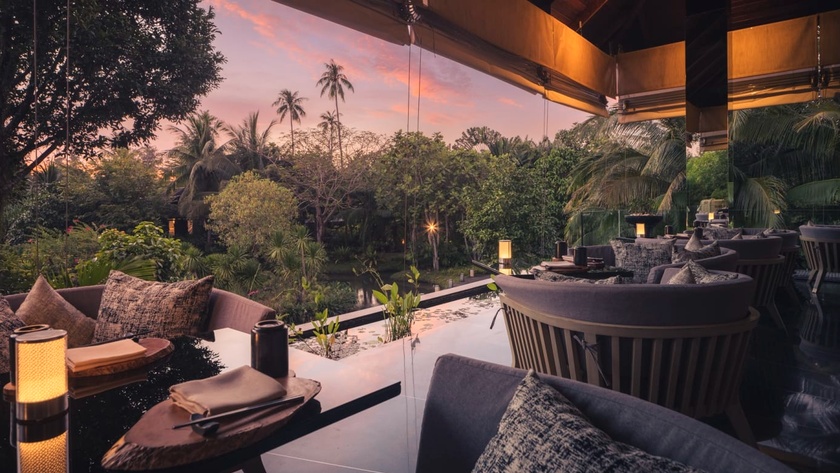 Tree House Views