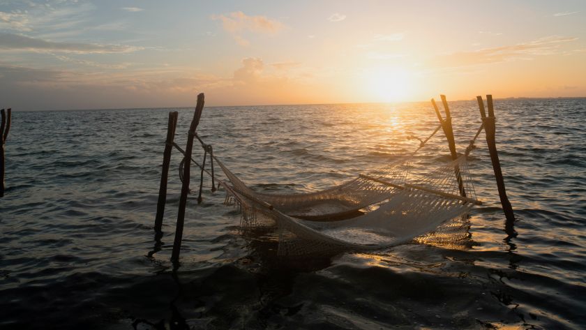Hammocks in the Water