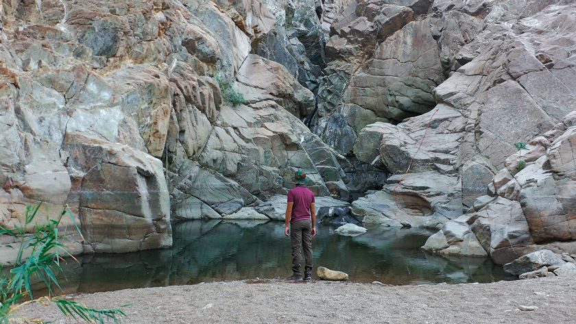 Hiking Opportunities
