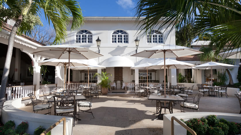 Palm Terrace