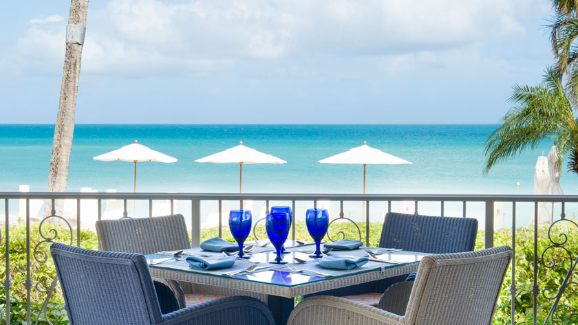Palm Restaurant View