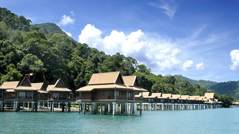 Rainforest Setting