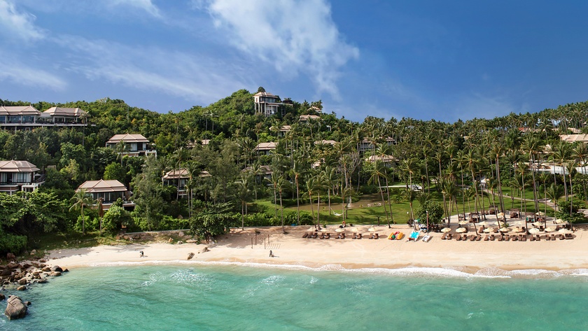 Stunning Beach and Forest