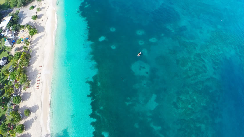 The Sea and the Beach 
