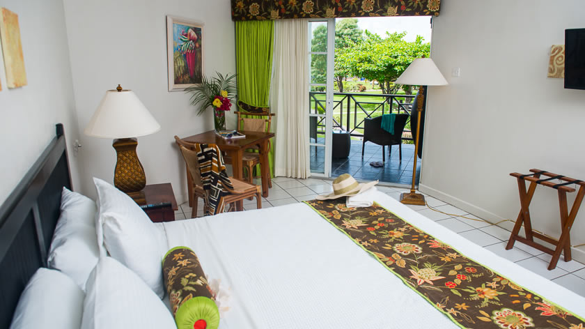 Garden View Room 