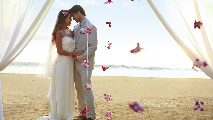 Wedding at Couples Sans Souci