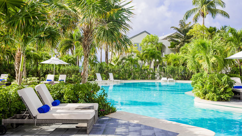Loungers at the Pool