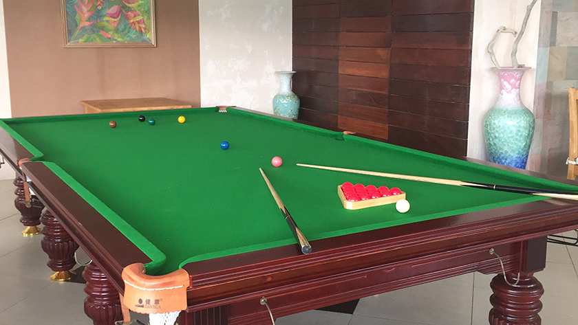 Snooker Table