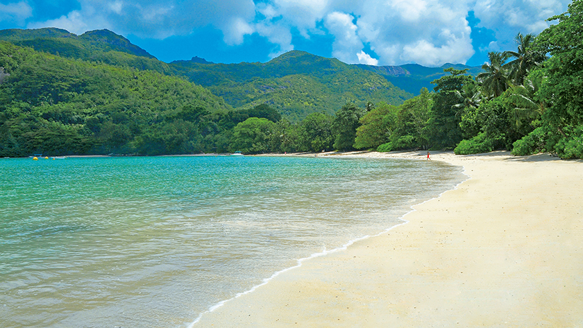 Beach View