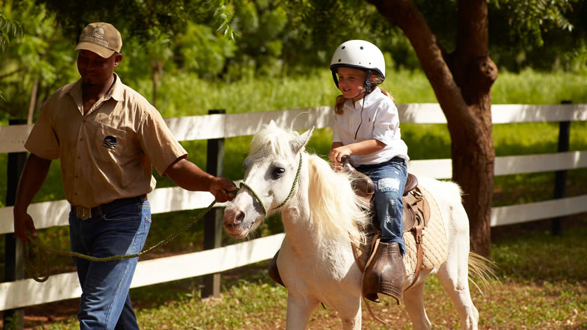 Children Pony Ride