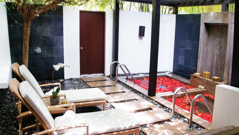 Spa Plunge Pool