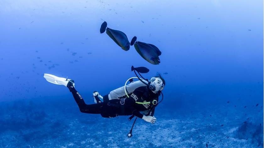 Diving Experiences