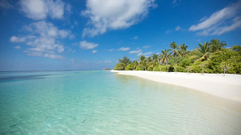 The Beach