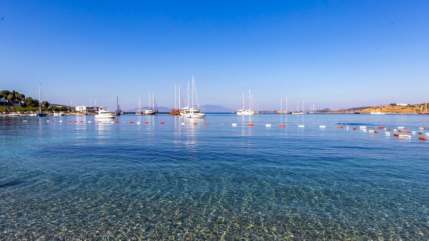 Clear Waters
