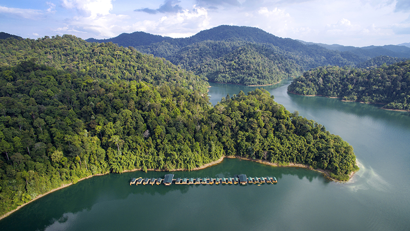 Rainforest Camp