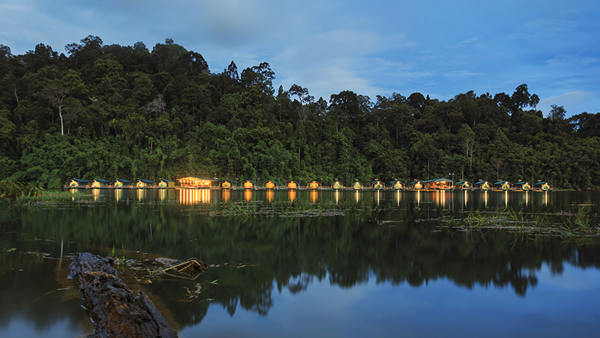 Rainforest Camp at Night
