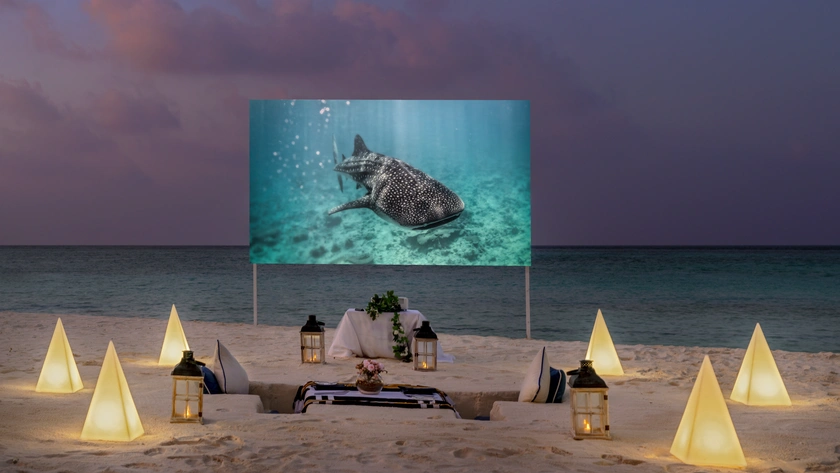 Outdoor Cinema Experience