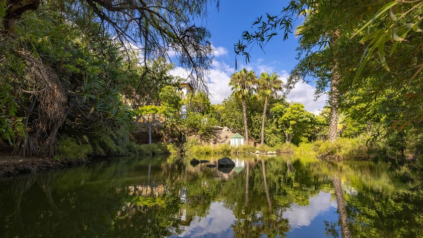 Garden Lake