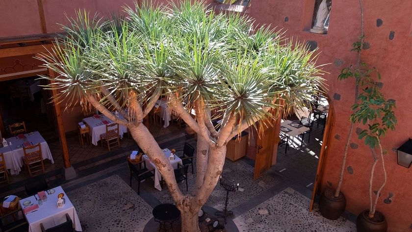La Hacienda Terrace