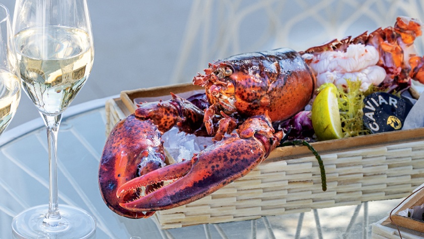 Lobsteria