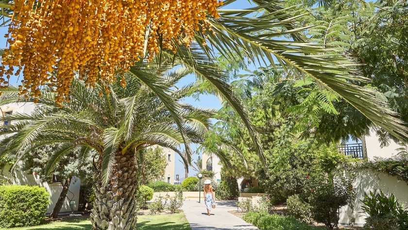 Lush Gardens