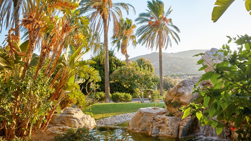 Lush Gardens