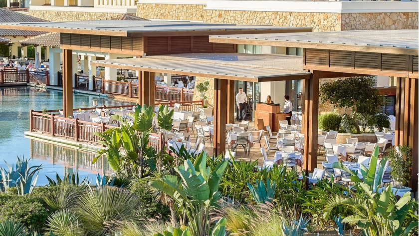Delicious Mediterranean Buffet