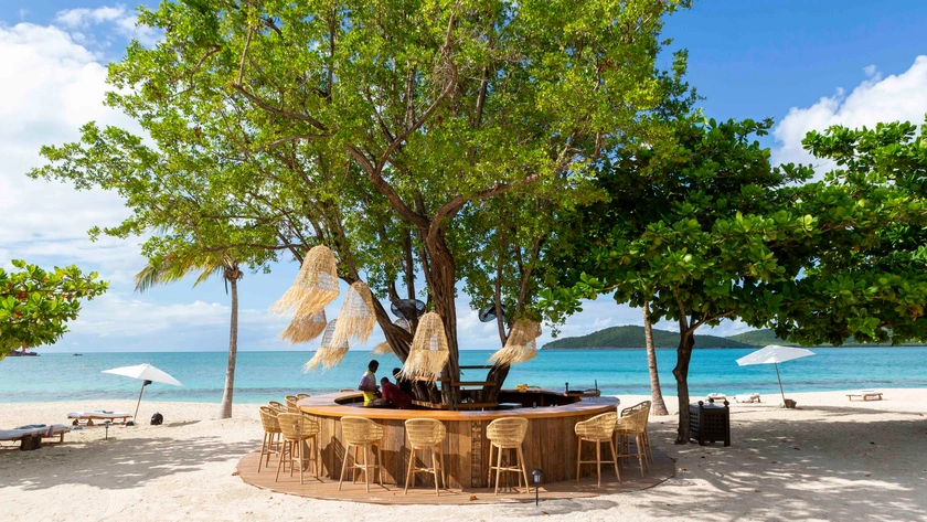 Tree Bar