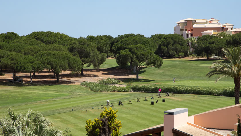 Golf View