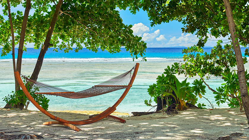 Beach Hammock