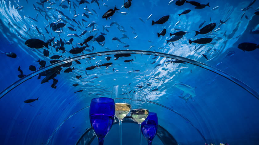 Underwater Restaurant 