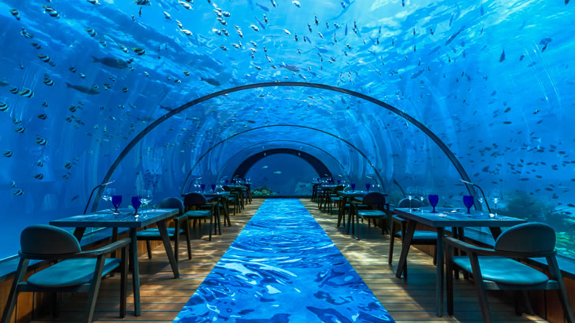 5.8 Undersea Restaurant