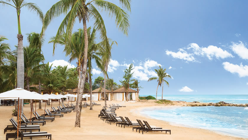 Sun Lounges on the Beach 