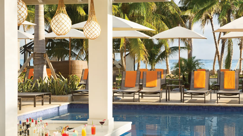 Islandz Swim up Bar