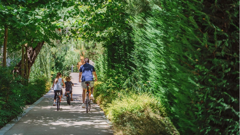 Bike Rides