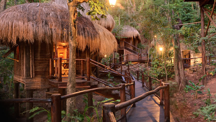 Rainforest Treatment Rooms