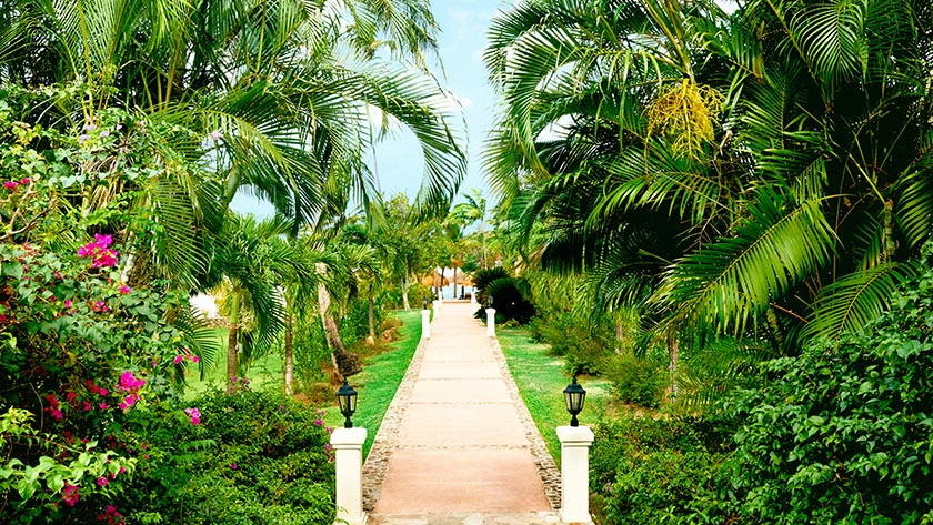 Resort Pathways