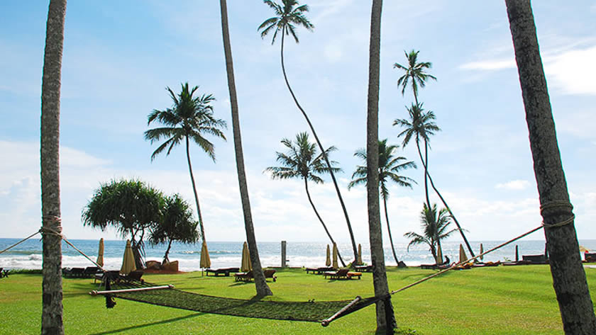 Hammock