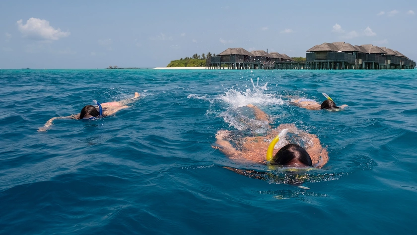 Snorkelling
